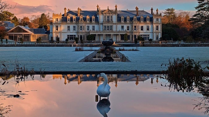 South Lawn with a lone swan on the fountain pool, winter, Dyffryn Gardens, Vale of Glamorgan in the very early morning.